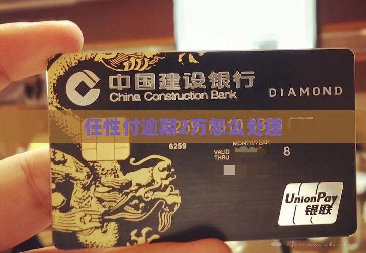任性付逾期2万应该怎么处理