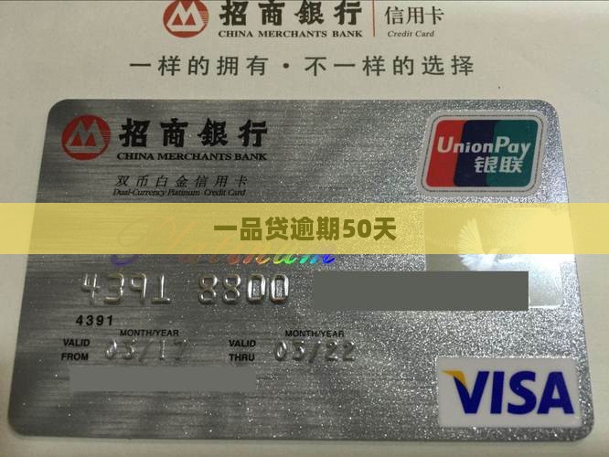 一品贷逾期50天