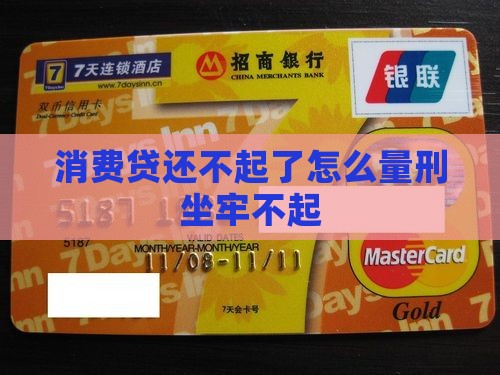 消费贷还不起了怎么量刑 消费贷还不起了怎么量刑