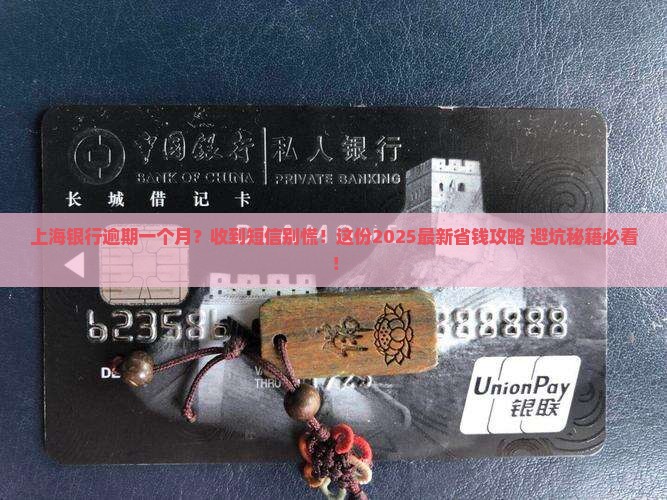 上海银行逾期一个月收到短信怎么办