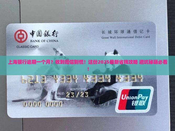 上海银行逾期一个月收到短信怎么办
