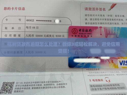 榕树贷款有逾期怎么处理 榕树贷款有逾期怎么处理