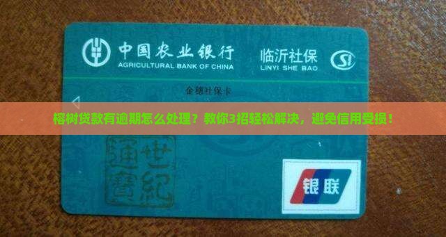 榕树贷款有逾期怎么处理 榕树贷款有逾期怎么处理