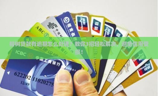 榕树贷款有逾期怎么处理 榕树贷款有逾期怎么处理