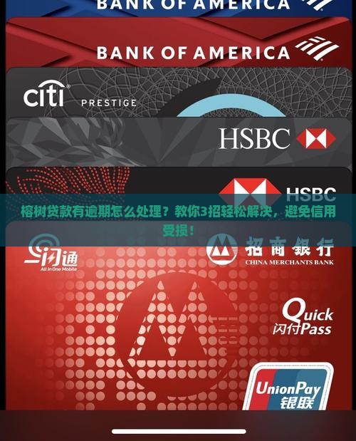 榕树贷款有逾期怎么处理 榕树贷款有逾期怎么处理