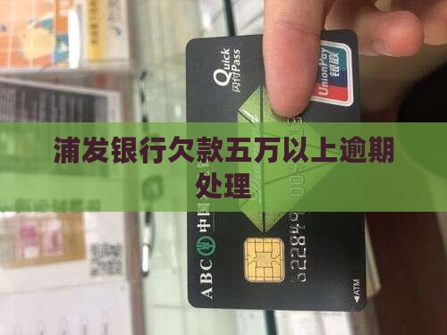 浦发欠款五万以上