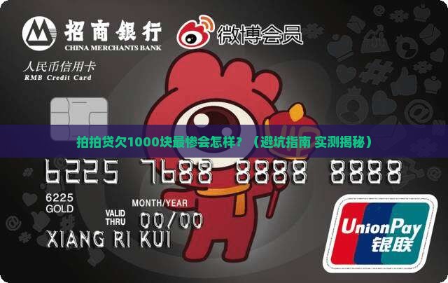 拍拍贷欠款1000元最坏的结果是什么后果