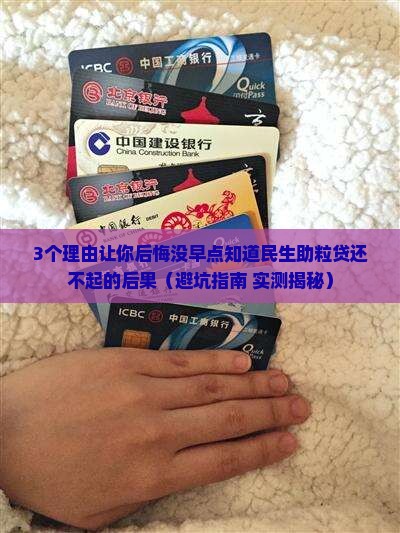 民生助粒贷无力偿还会怎么样