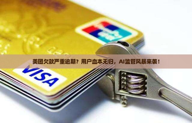 美团欠款严重逾期