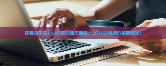 任性贷不还有什么后果