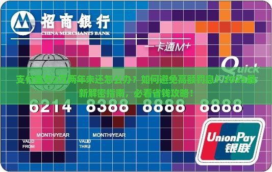 支付宝欠2万两年如何解决
