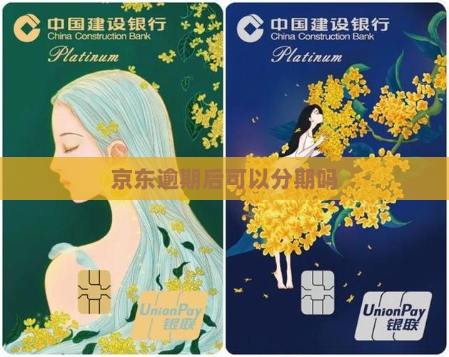 白条逾期后怎么办分期