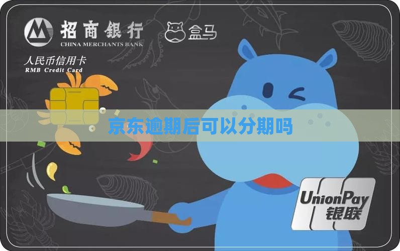 白条逾期后怎么办分期