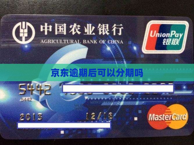 白条逾期后怎么办分期