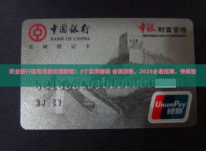 农业银行信用贷款逾期怎么办