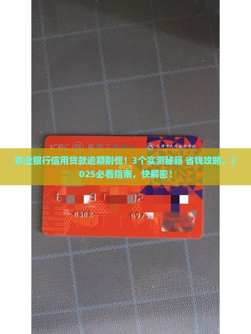 农业银行信用贷款逾期怎么办