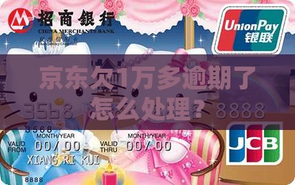 京东白条欠1万多逾期怎么办