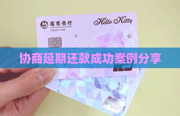 360借条协商延期还款成功案例分享