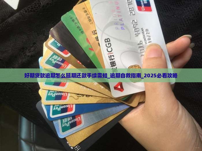好期贷款逾期怎么办理延期还款手续需知