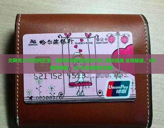 欠网贷20万如何还清