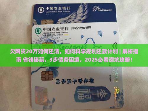 欠网贷20万如何还清
