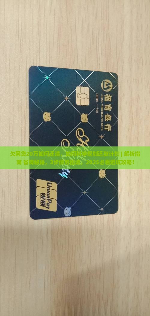 欠网贷20万如何还清