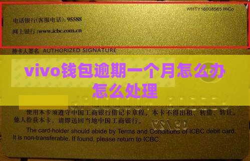 vivo钱包逾期一个月还款怎么办