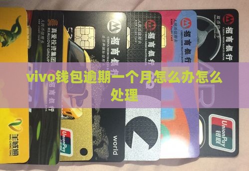 vivo钱包逾期一个月还款怎么办