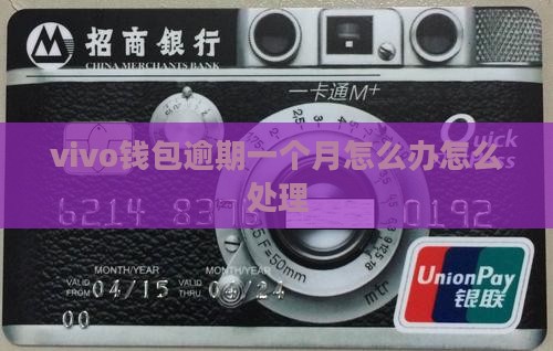 vivo钱包逾期一个月还款怎么办