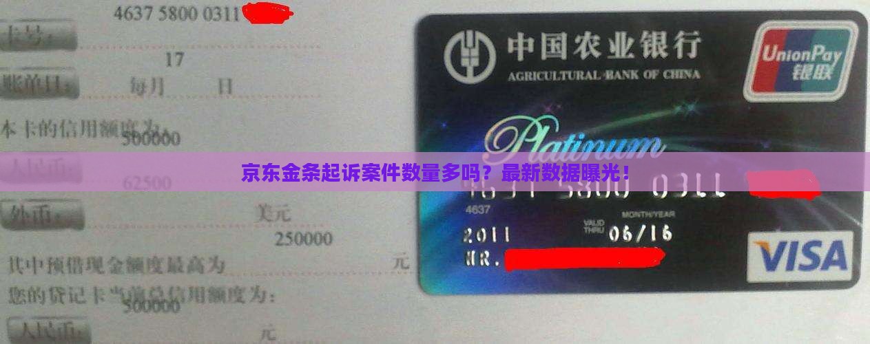 京东金条起诉案件数量多吗
