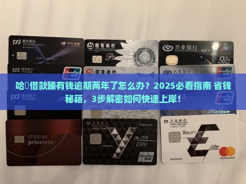 哈啰借款臻有钱逾期两年怎么处理