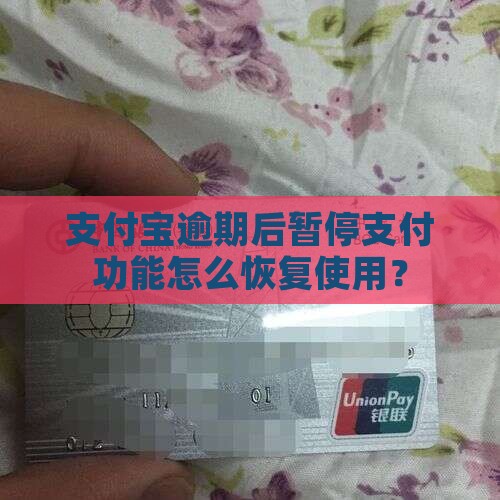 支付宝逾期后暂停支付功能怎么恢复使用？