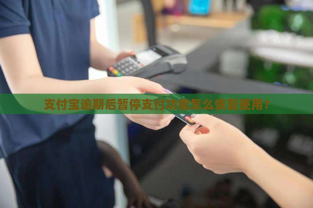 支付宝逾期后暂停支付功能怎么恢复使用？
