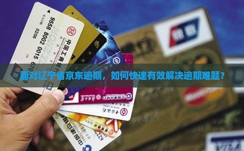面对辽宁省京东逾期，如何快速有效解决逾期难题？
