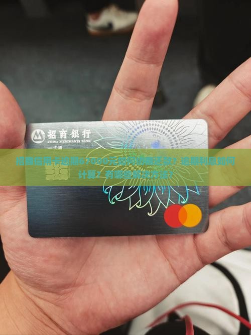 招商信用卡逾期67000元如何协商还款？逾期利息如何计算？有哪些解决方法？