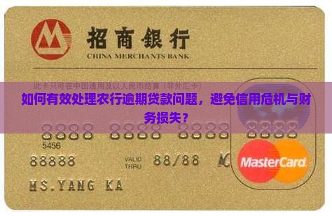 如何有效处理农行逾期贷款问题，避免信用危机与财务损失？