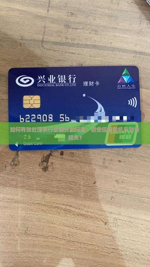 如何有效处理农行逾期贷款问题，避免信用危机与财务损失？