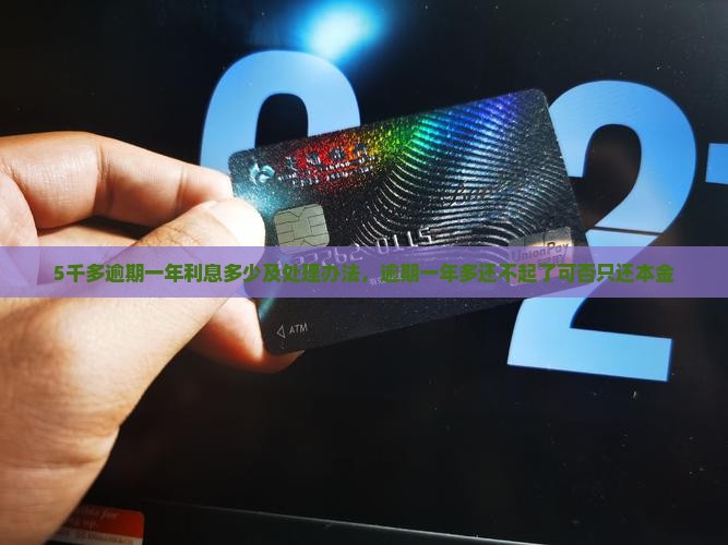 5千多逾期一年利息多少及处理办法，逾期一年多还不起了可否只还本金