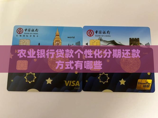 农业银行贷款个性化分期还款方式有哪些
