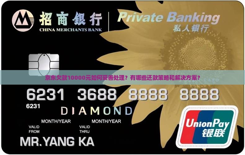 京东欠款10000元如何妥善处理？有哪些还款策略和解决方案？
