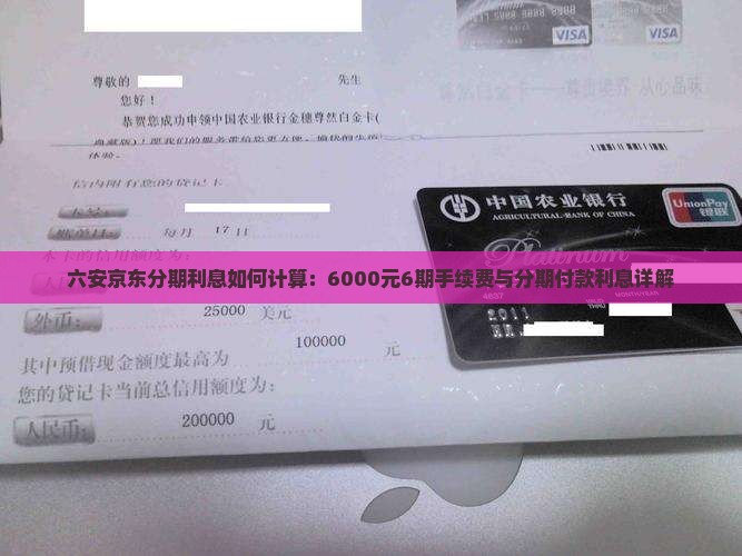 六安京东分期利息如何计算：6000元6期手续费与分期付款利息详解