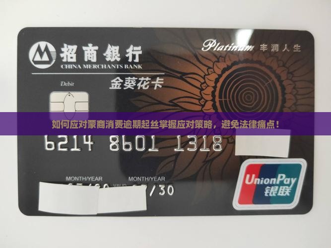 如何应对蒙商消费逾期起丝掌握应对策略，避免法律痛点！