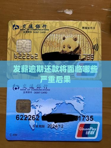 发薪逾期还款将面临哪些严重后果