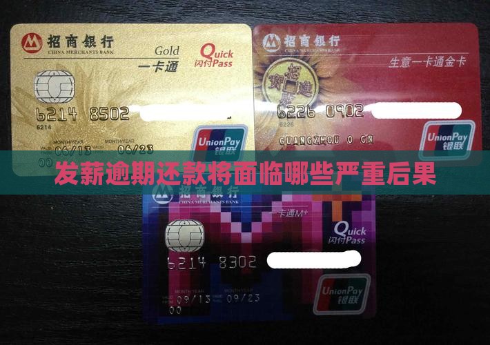 发薪逾期还款将面临哪些严重后果