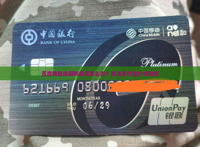 百度钱包逾期利息高怎么办？关注支付宝分付动态