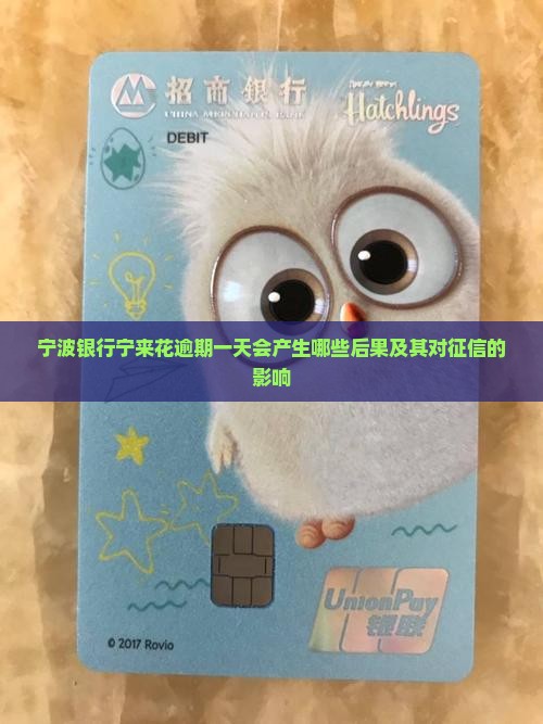 宁波银行宁来花逾期一天会产生哪些后果及其对征信的影响