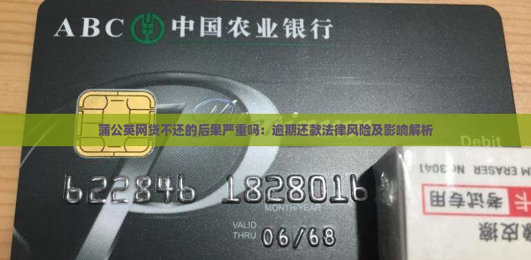 蒲公英网贷不还的后果严重吗：逾期还款法律风险及影响解析