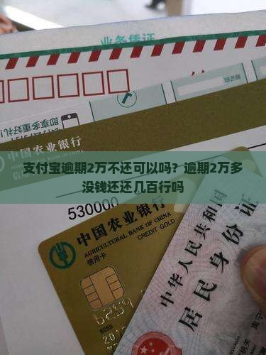 支付宝逾期2万不还可以吗？逾期2万多没钱还还几百行吗