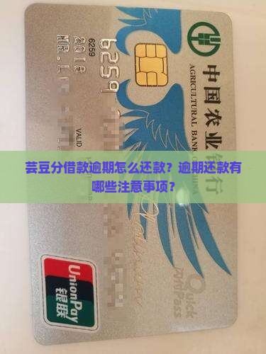芸豆分借款逾期怎么还款？逾期还款有哪些注意事项？