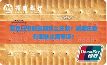 芸豆分借款逾期怎么还款？逾期还款有哪些注意事项？